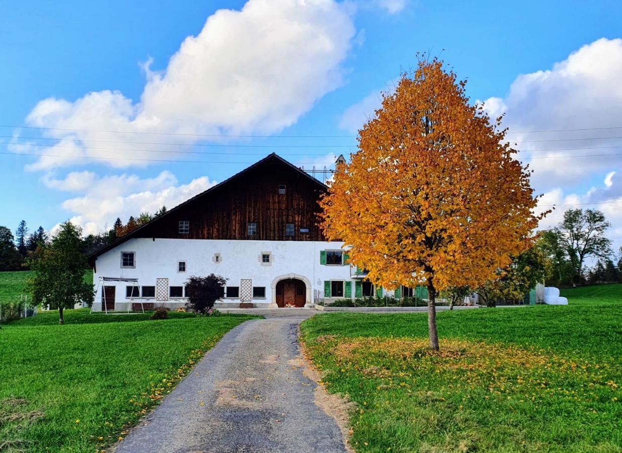 O Valanvron - Appartement Dans Une Ancienne Ferme Neuchateloise La Chaux De Fonds Eksteriør billede